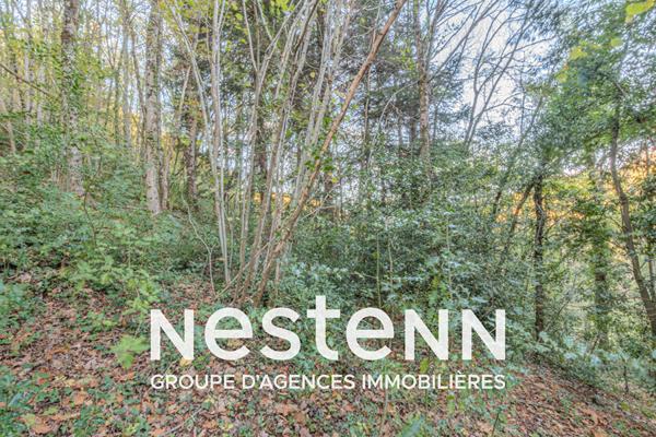 Curvalle Terrain boisé avec ruine