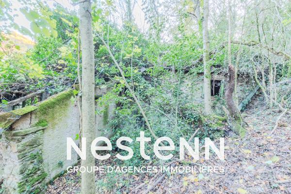 Curvalle Terrain boisé avec ruine
