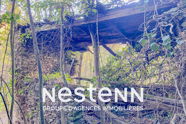 Curvalle Terrain boisé avec ruine