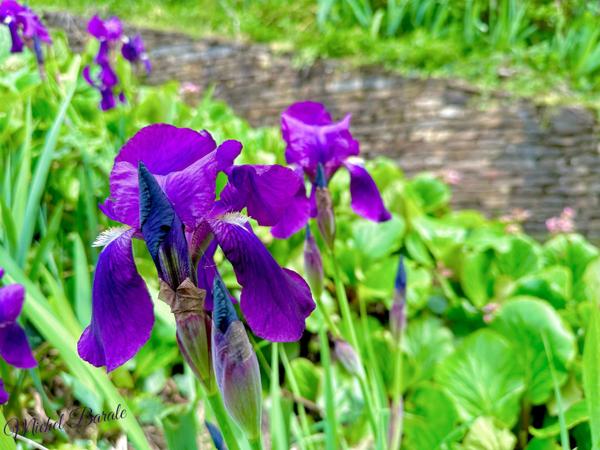 Dpt Rhône (69), à vendre CHAPONNAY maison P6 de 160 m² - Terrain de 1 450,00 m²