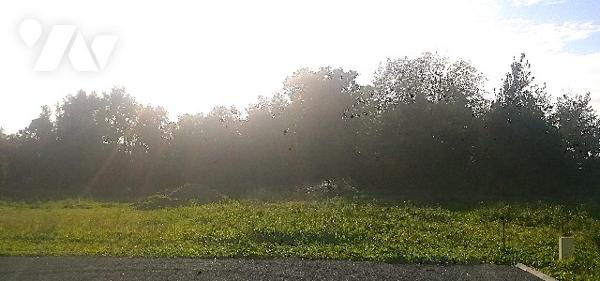 Terrain à bâtir d'une surface de 445 m2 dans lotissement de 4 lots