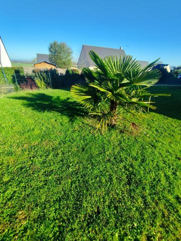Beau pavillon avec terrain !