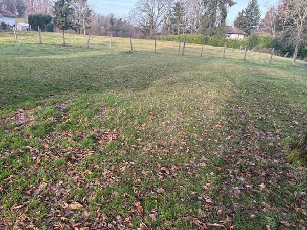 Maison et ses dépendances sur parcelle de 6000 m²