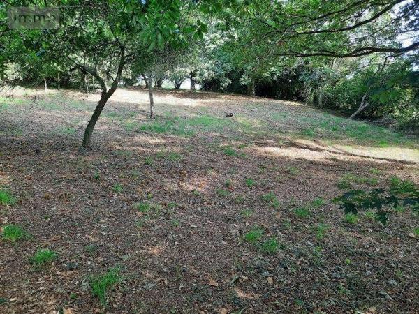 Terrain à Batir à vendre à Taupont dans le Morbihan (56800), ref : 56044-1024736-56044