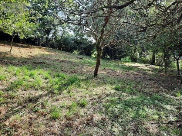 Terrain à Batir à vendre à Taupont dans le Morbihan (56800), ref : 56044-1024736-56044