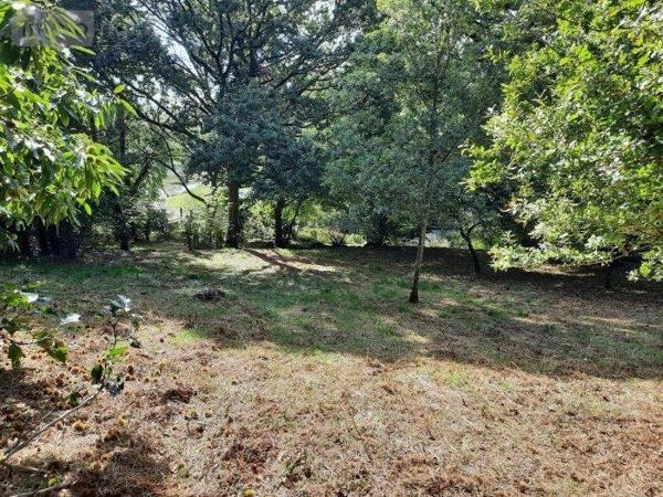 Terrain à Batir à vendre à Taupont dans le Morbihan (56800), ref : 56044-1024736-56044