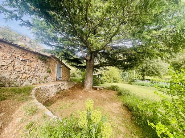 Une propriété vivante, rare et inspirante pour projets agricoles, d’accueil ou éco-touristiques