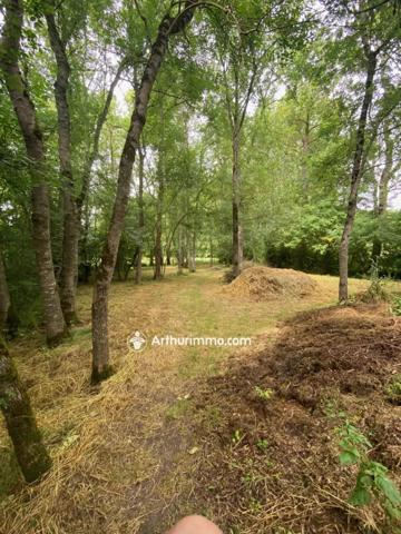 Vente Maison 14 pièces 203 m2 à Villefollet