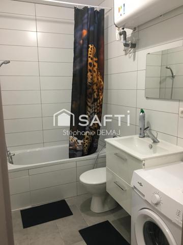 IMMEUBLE DE RENDEMENT RENOVE-TERRASSE-CAVE