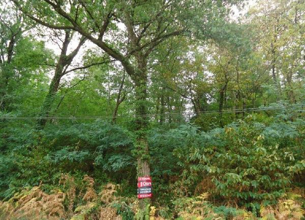 Terrain à vendre    Cublac