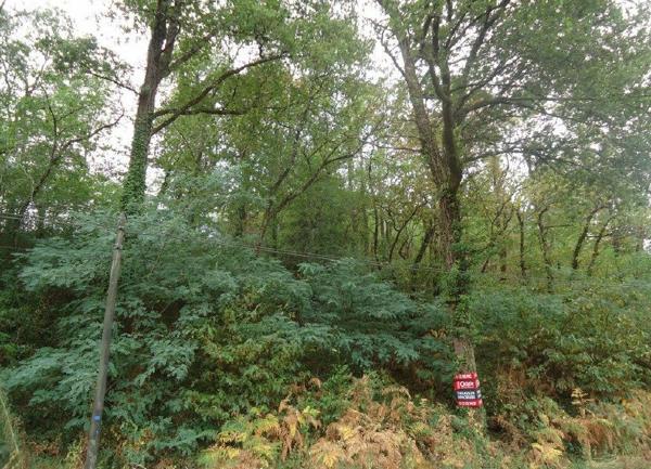 Terrain à vendre    Cublac