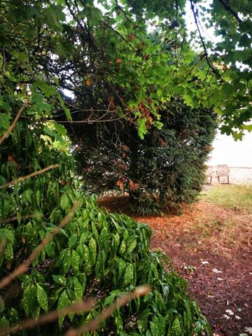 Montmorency (95160) ACHAT-VENTE JOLIE MAISON AVEC GARAGE CENTRE VILLE MONTMORENCY 95160