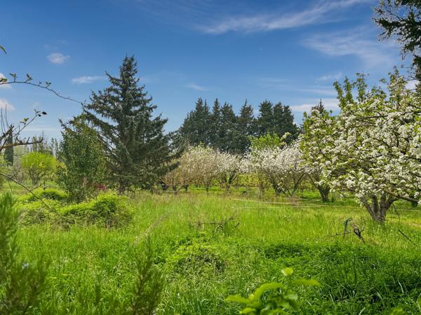 Saint-Rémy-de-Provence (13210) Ensemble immobilier à fort potentiel sur 6.5 ha