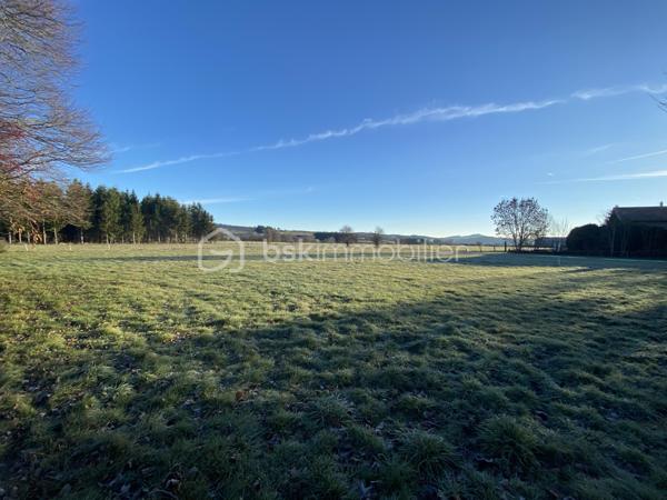 Terrain de 1 600 m²