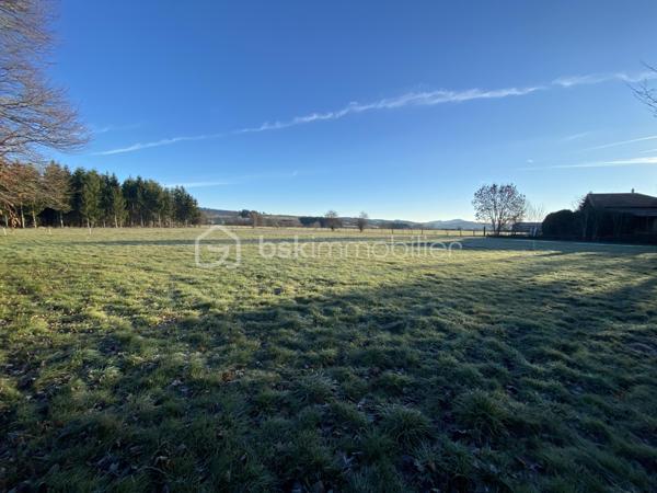 Terrain de 1 600 m²