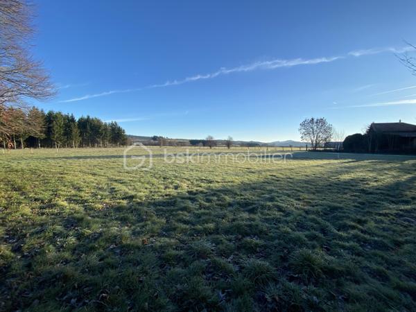 Terrain de 1 600 m²