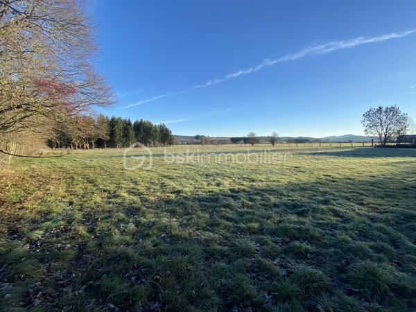 Terrain de 1 600 m²