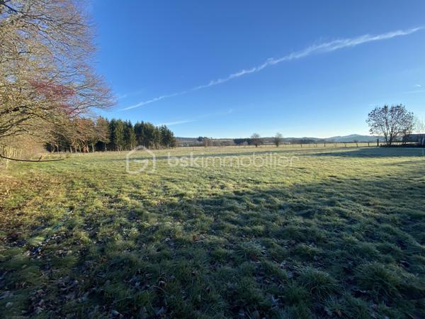 Terrain de 1 600 m²