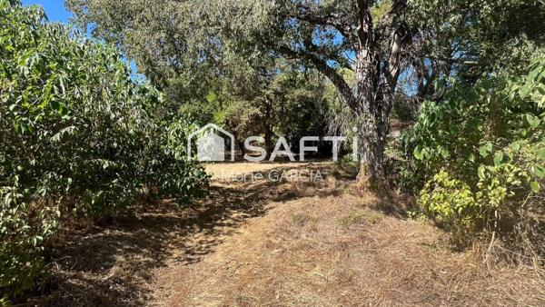 Mazet nîmois à rénover sur 1 200 m² arborés