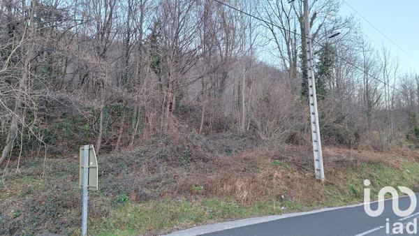 Terrain à vendre 50 940 m² Prats-de-Mollo-la-Preste