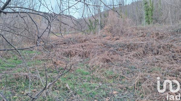 Terrain à vendre 50 940 m² Prats-de-Mollo-la-Preste