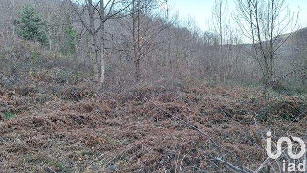 Terrain à vendre 50 940 m² Prats-de-Mollo-la-Preste