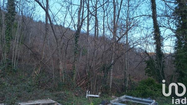 Terrain à vendre 50 940 m² Prats-de-Mollo-la-Preste