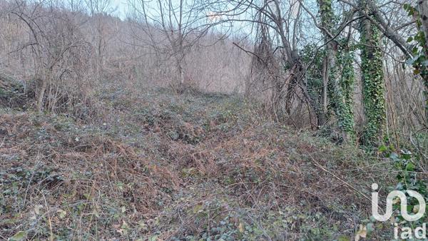 Terrain à vendre 50 940 m² Prats-de-Mollo-la-Preste