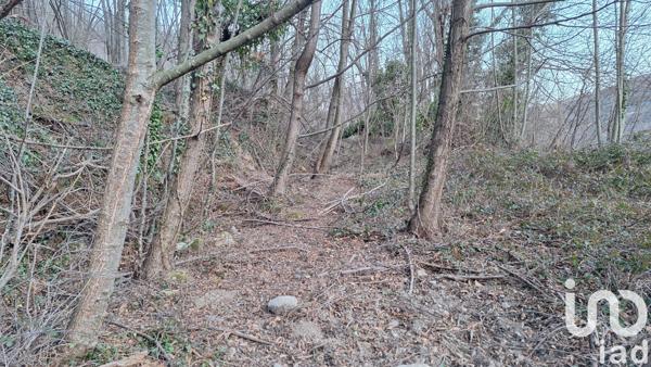 Terrain à vendre 50 940 m² Prats-de-Mollo-la-Preste