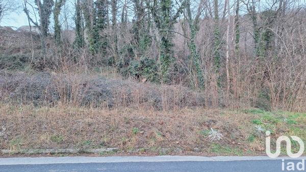 Terrain à vendre 50 940 m² Prats-de-Mollo-la-Preste