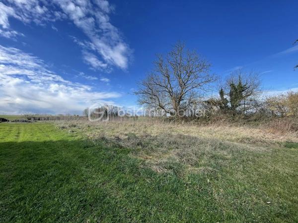 Terrain de 1 132 m²