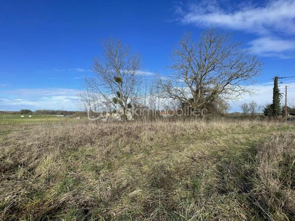 Terrain de 1 132 m²