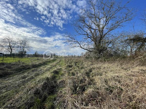 Terrain de 1 132 m²