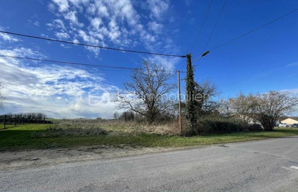 Terrain de 1 132 m²