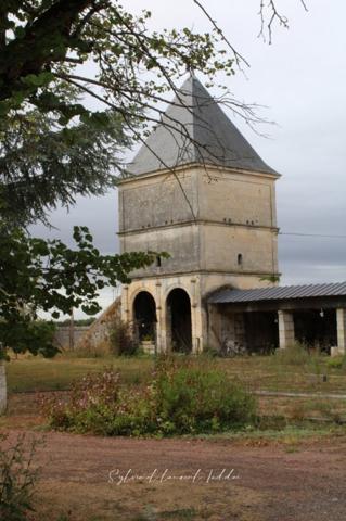 PROPRIETE AGRICOLE, ANCIEN DOMAINE DE CHASSE DE 111 HA PROCHE DE JONZAC