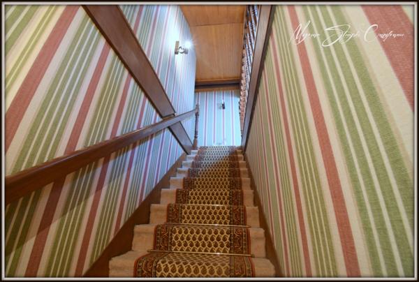 Propriete à vendre 8 pièces MIMIZAN (40)avec lac privatif.