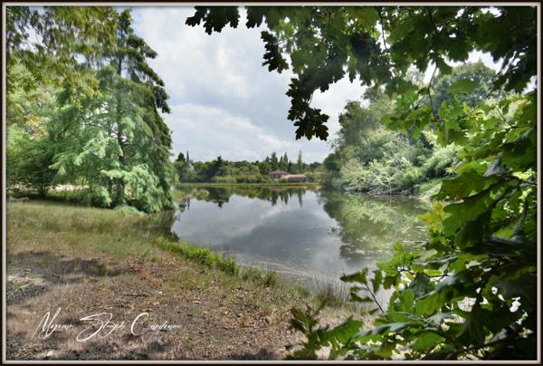 Propriete à vendre 8 pièces MIMIZAN (40)avec lac privatif.