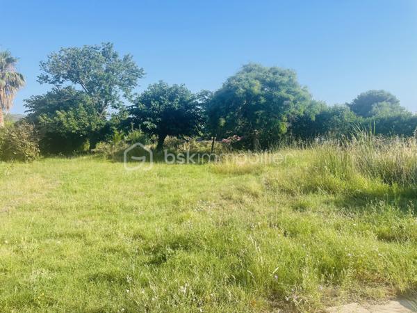 Maison traditionnelle de 259 m²