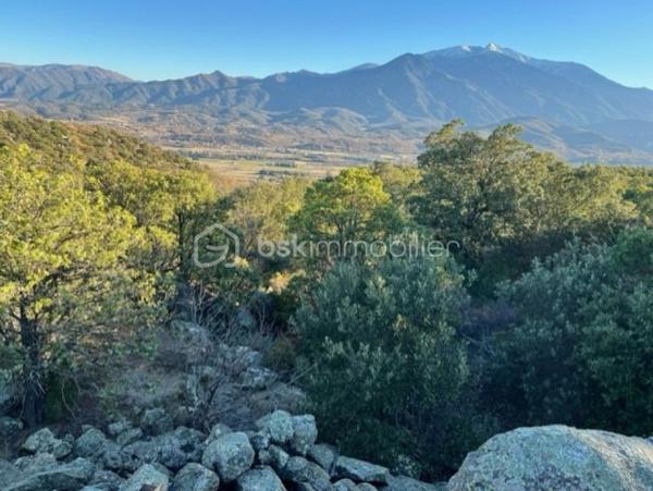 Terrain agricole de 5 667 m²