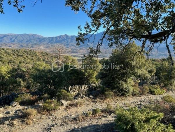 Terrain agricole de 5 667 m²