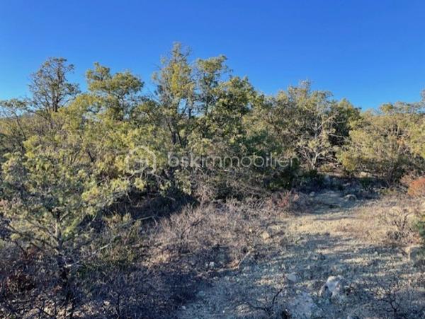 Terrain agricole de 5 667 m²