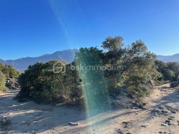 Terrain agricole de 5 667 m²