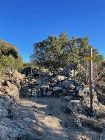 Terrain agricole de 5 667 m²