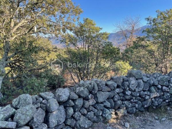 Terrain agricole de 5 667 m²