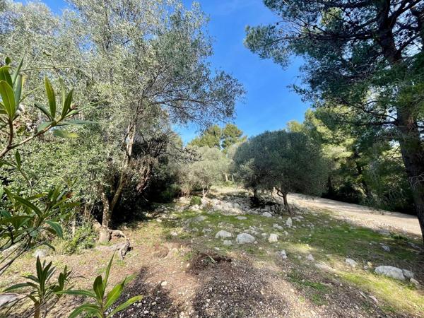 Sanary-sur-Mer (83110) SANARY - Villa d'exception avec vue mer panoramique