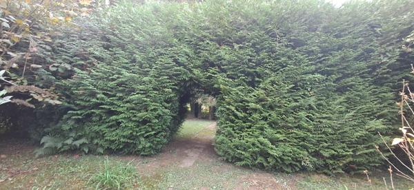 Maison dans Saulces-Monclin