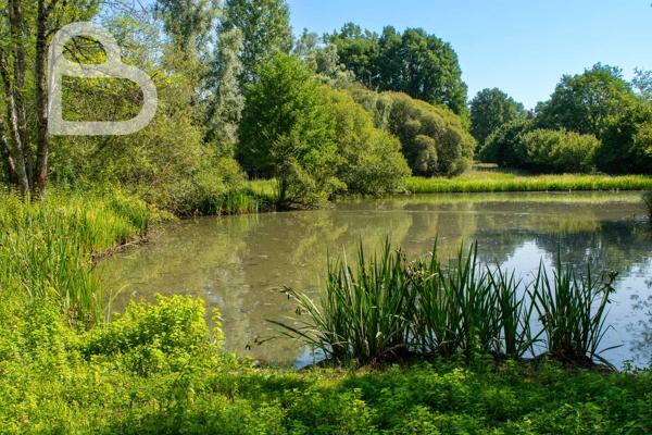 Le silence de l'eau, le charme de la pierre