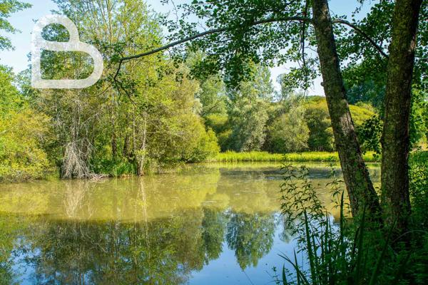 Le silence de l'eau, le charme de la pierre