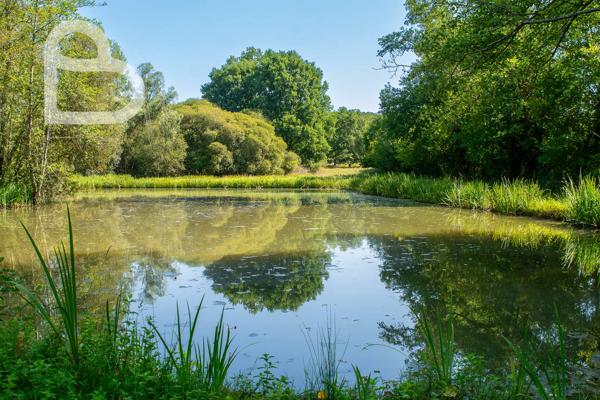 Le silence de l'eau, le charme de la pierre