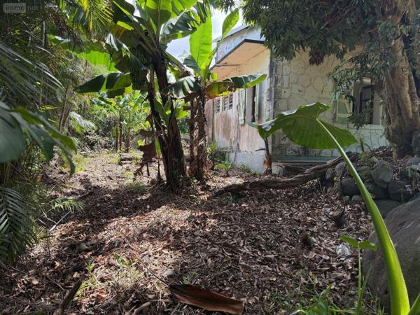 Maison à restaurer à vendre à Saint-André à la Réunion (97440), ref : 97405/246